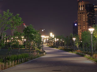 Landscape lighting background