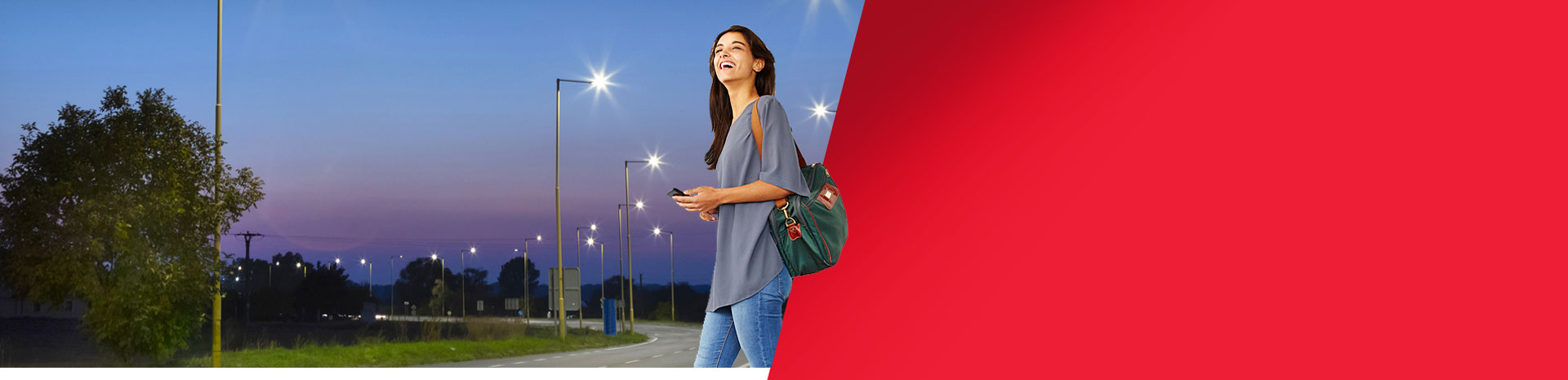 Eveready Outdoor Lighting for desktop
