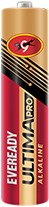 Eveready Alkaline 2112 - AAA