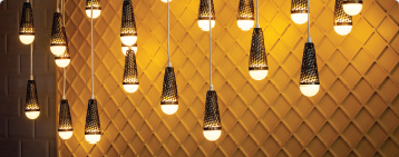 Eveready LED Blubs