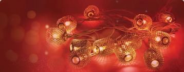 Eveready Festive Lighting